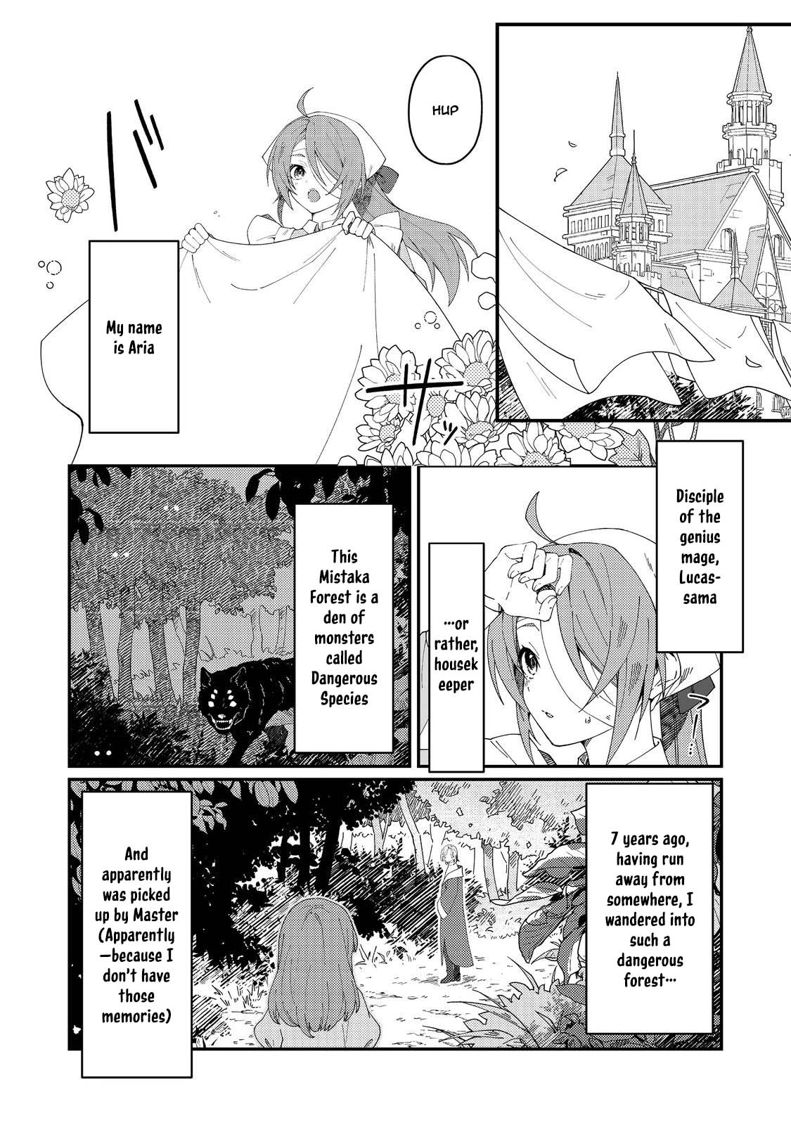 The Beautiful Mage Finding My Lazy Master’s Missing Socks Is a Daily Struggle Chapter 1 Page 11